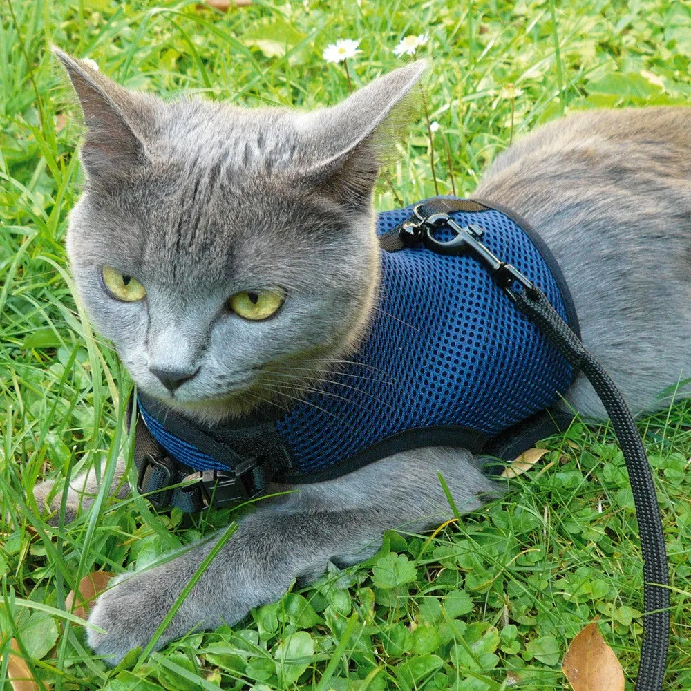 Ferplast Jogging Harness Large